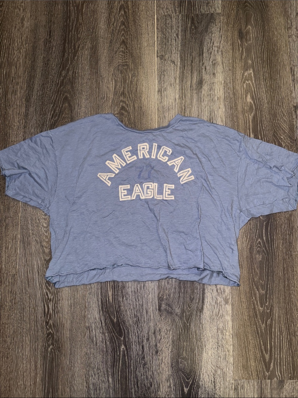 American Eagle Blue Cropped Graphic Tee